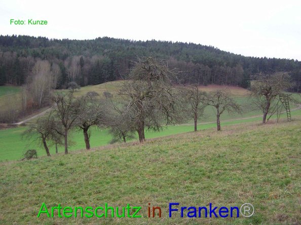 Bild zum Eintrag (80576-160)