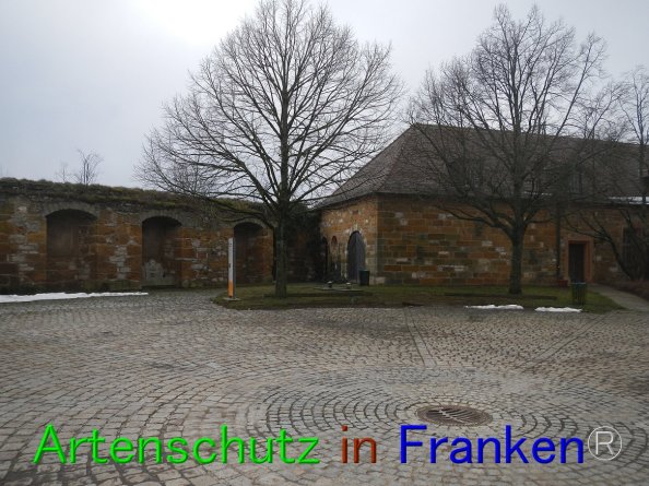 Bild zum Eintrag (80627-160)