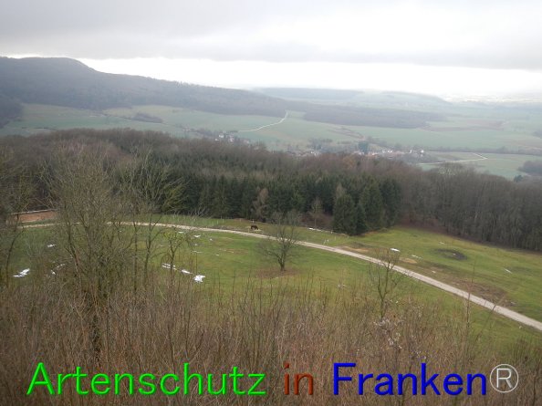 Bild zum Eintrag (80645-160)