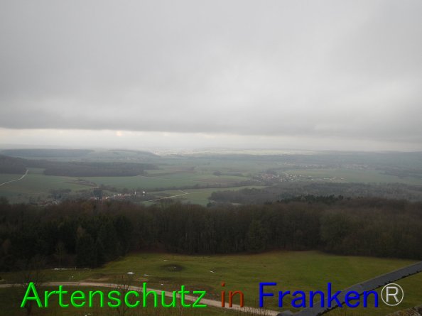 Bild zum Eintrag (80646-160)