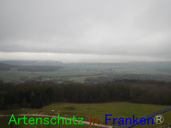 Bild zum Eintrag (80646-160)