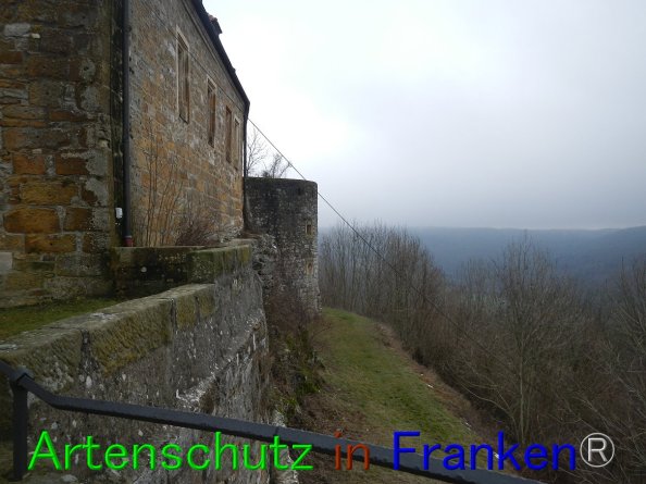 Bild zum Eintrag (80647-160)