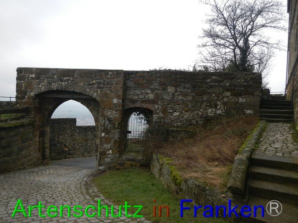 Bild zum Eintrag (80649-160)