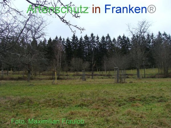 Copyright AiF Maximilian Fraulob Bild zum Eintrag (80938-160)