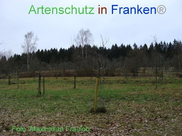 Copyright AiF Maximilian Fraulob Bild zum Eintrag (80939-160)