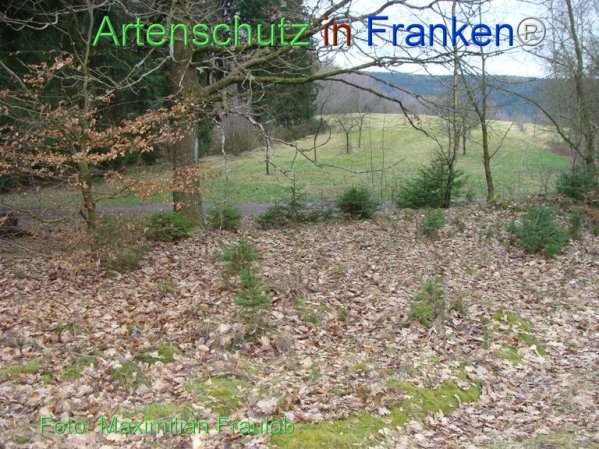 Copyright AiF Maximilian Fraulob Bild zum Eintrag (80940-160)