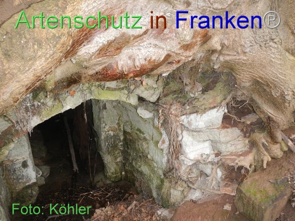Copyright AiF Thomas Köhler Bild zum Eintrag (80991-160)