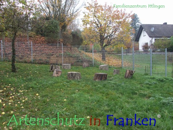 Bild zum Eintrag (81154-160)