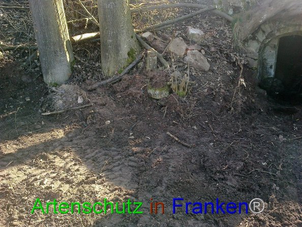 Bild zum Eintrag (81292-160)