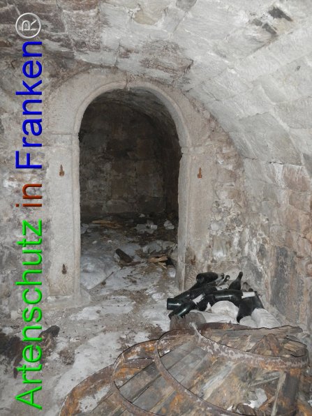 Bild zum Eintrag (81307-160)