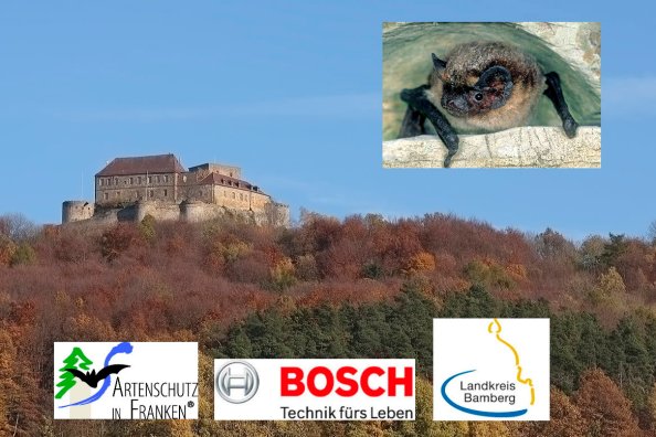 Copyright AiF Ulrich Rösch / Klaus Bogon / AiF Collage Bild zum Eintrag (81604-160)
