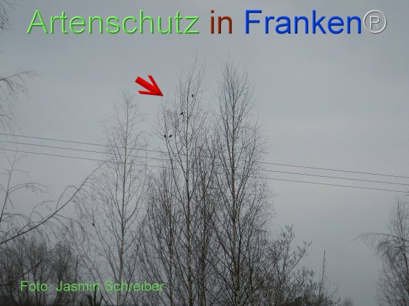 Copyright AiF Jasmin Schreiber Bild zum Eintrag (81657-160)