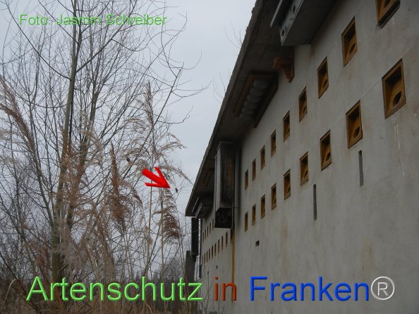 Copyright AiF Jasmin Schreiber Bild zum Eintrag (81658-160)