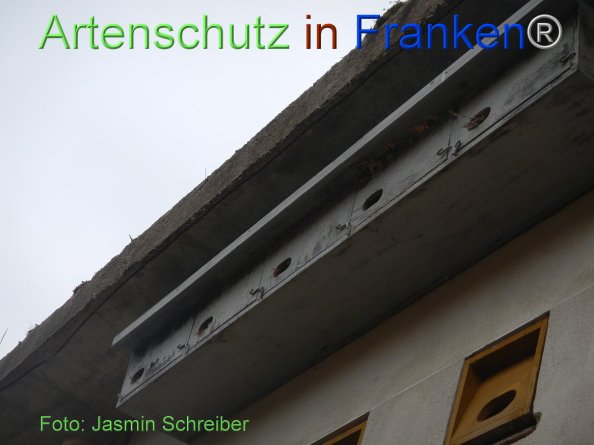 Copyright AiF Jasmin Schreiber Bild zum Eintrag (81659-160)