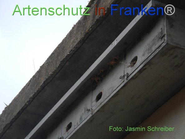 Copyright AiF Jasmin Schreiber Bild zum Eintrag (81660-160)