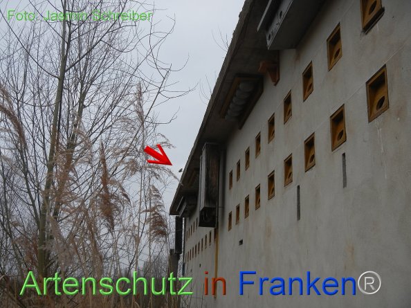 Copyright AiF Jasmin Schreiber Bild zum Eintrag (81661-160)