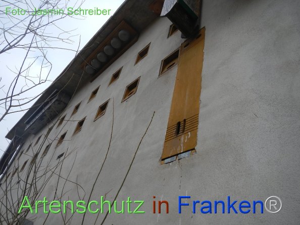 Copyright AiF Jasmin Schreiber Bild zum Eintrag (81664-160)