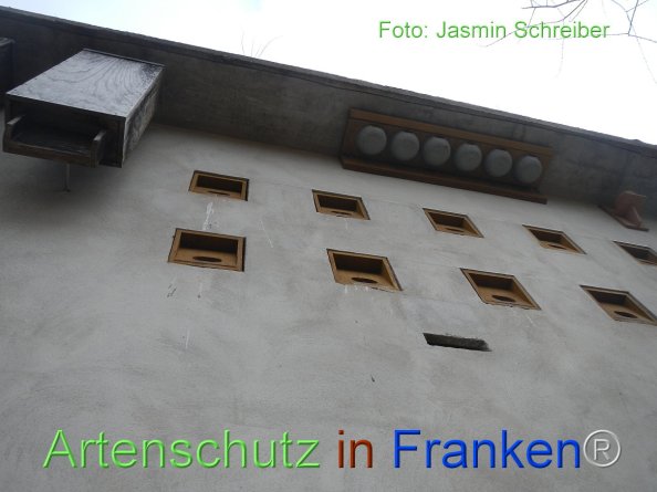 Copyright AiF Jasmin Schreiber Bild zum Eintrag (81665-160)