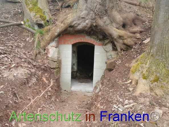 Bild zum Eintrag (81681-160)