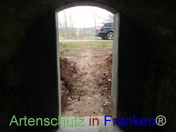 Bild zum Eintrag (81682-160)