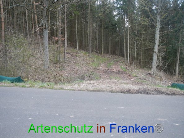 Bild zum Eintrag (82146-160)