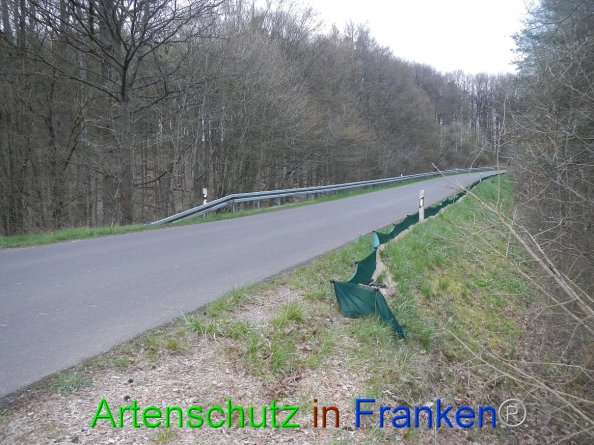 Bild zum Eintrag (82150-160)