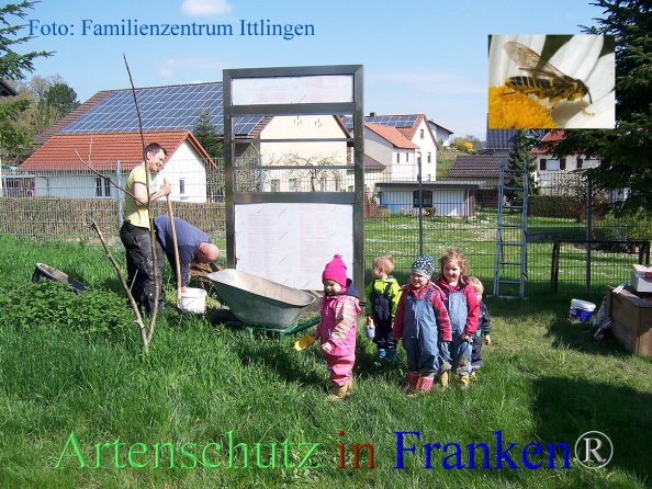 Copyright AiF Familienzentrum Ittlingen Bild zum Eintrag (82303-160)