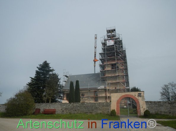 Bild zum Eintrag (82463-160)