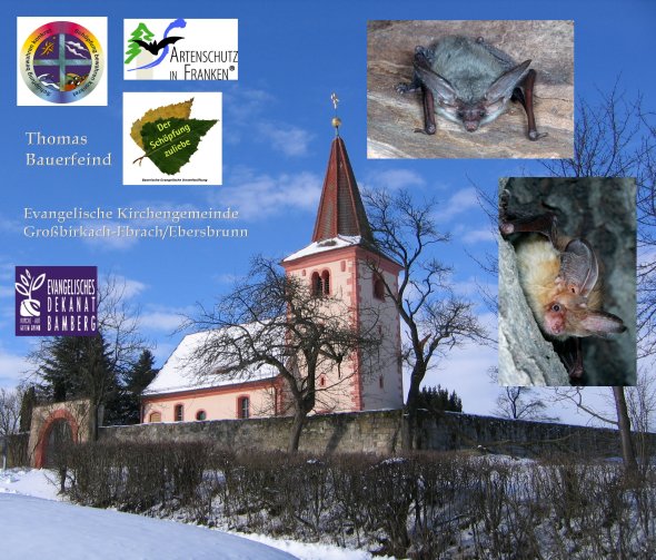 Copyright AiF / Collage Bogon Bild zum Eintrag (82680-160)