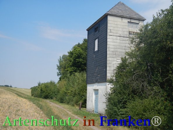 Bild zum Eintrag (82699-160)