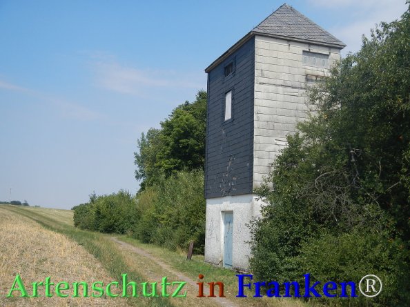 Bild zum Eintrag (82699-160)