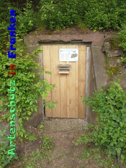 Bild zum Eintrag (83108-160)