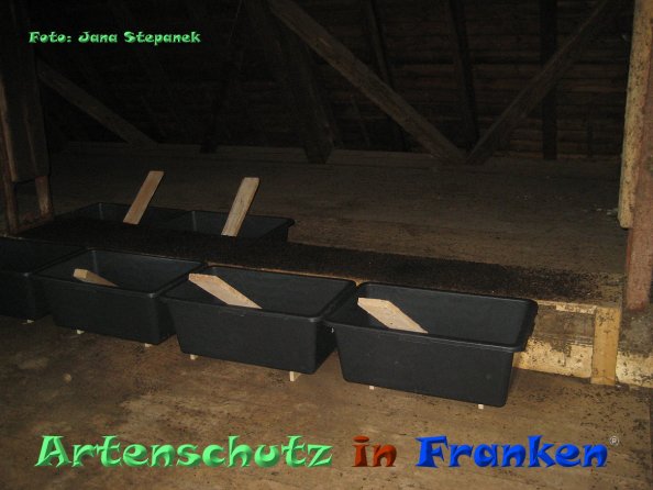 Copyright AiF Jana Stepanek Bild zum Eintrag (83123-160)
