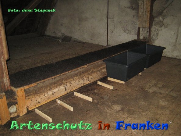 Copyright AiF Jana Stepanek Bild zum Eintrag (83124-160)