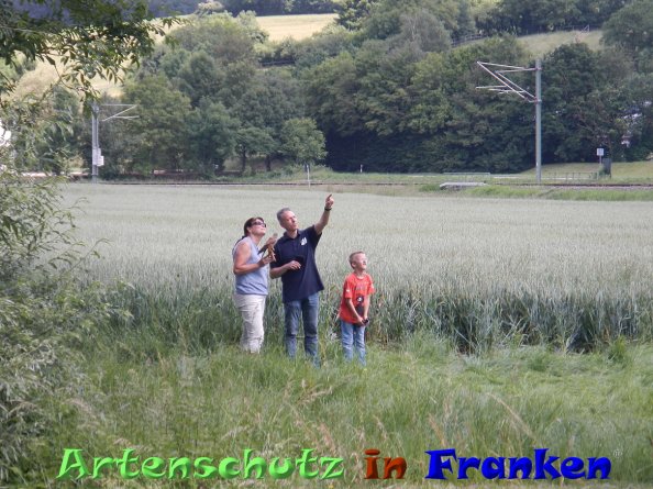 Bild zum Eintrag (84314-160)