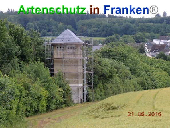 Copyright AiF Stadt Kastellaun Bild zum Eintrag (84534-160)