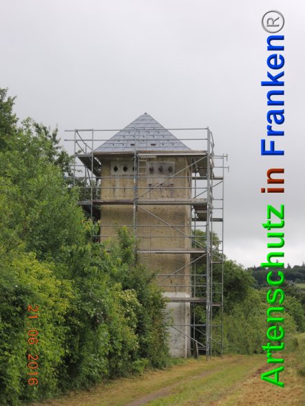 Copyright AiF Stadt Kastellaun Bild zum Eintrag (84535-160)