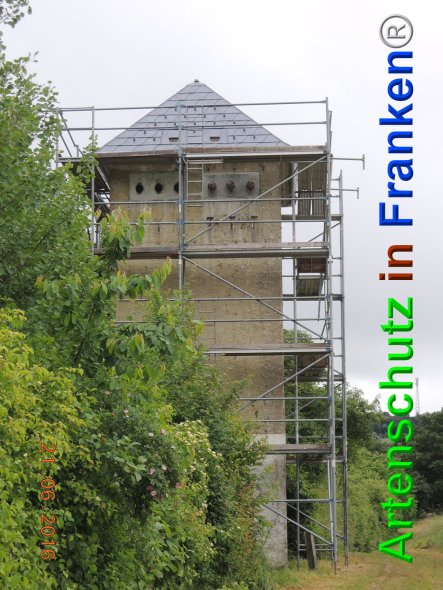 Copyright AiF Stadt Kastellaun Bild zum Eintrag (84536-160)