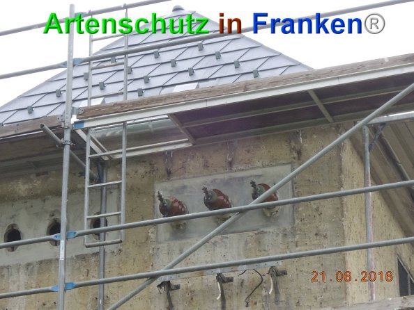 Copyright AiF Stadt Kastellaun Bild zum Eintrag (84539-160)