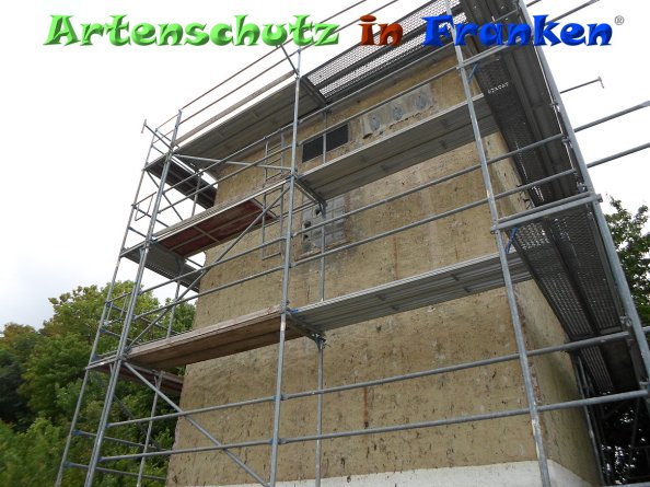 Copyright AiF Stadt Kastellaun Bild zum Eintrag (84808-160)