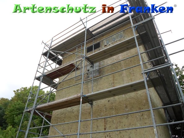 Copyright AiF Stadt Kastellaun Bild zum Eintrag (84810-160)