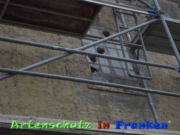 Bild zum Eintrag (84812-160)