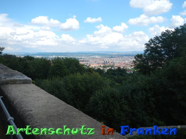Bild zum Eintrag (85046-160)