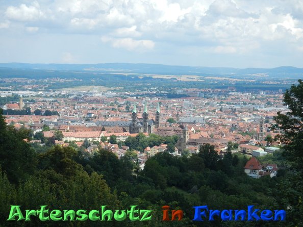 Bild zum Eintrag (85047-160)