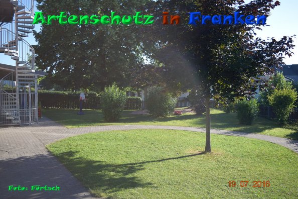 Copyright AiF Förtsch Bild zum Eintrag (85372-160)