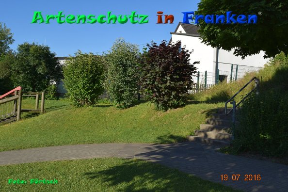 Copyright AiF Förtsch Bild zum Eintrag (85373-160)