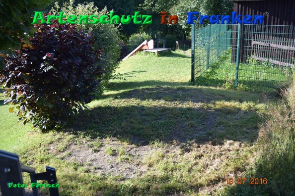 Einblicke in den Kindergarten St. Anna / Außenbereich Bild zum Eintrag (85374-160)
