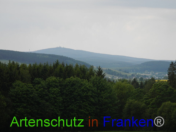 Bild zum Eintrag (85383-160)