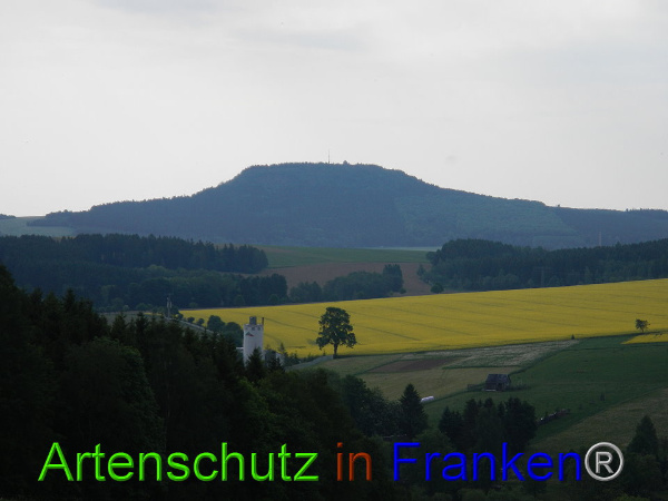 Bild zum Eintrag (85384-160)