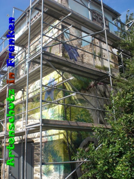 © Artenschutz in Franken® Bild zum Eintrag (85515-160)